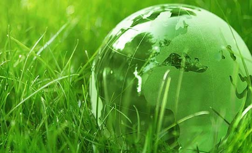 Umwelt-Engagement - gläserne Weltkugel auf Wiese
